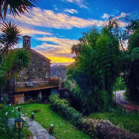 Guest House Antico Frantoio Pietrasanta Affittacamere-2