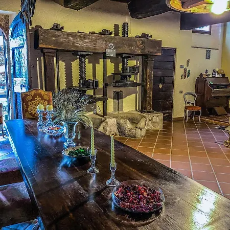 Guest House Antico Frantoio Pietrasanta Affittacamere-3