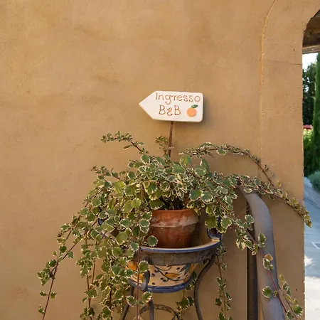 B&B L' Orangerie-2